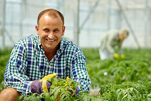 Agricultural